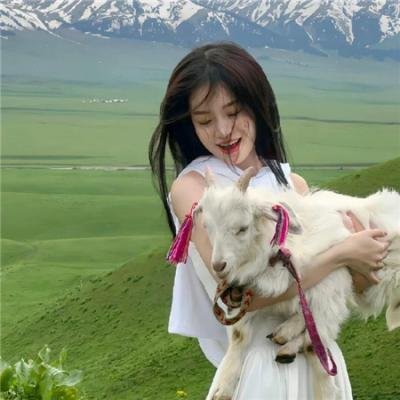 巴赫曼的沙漠之旅